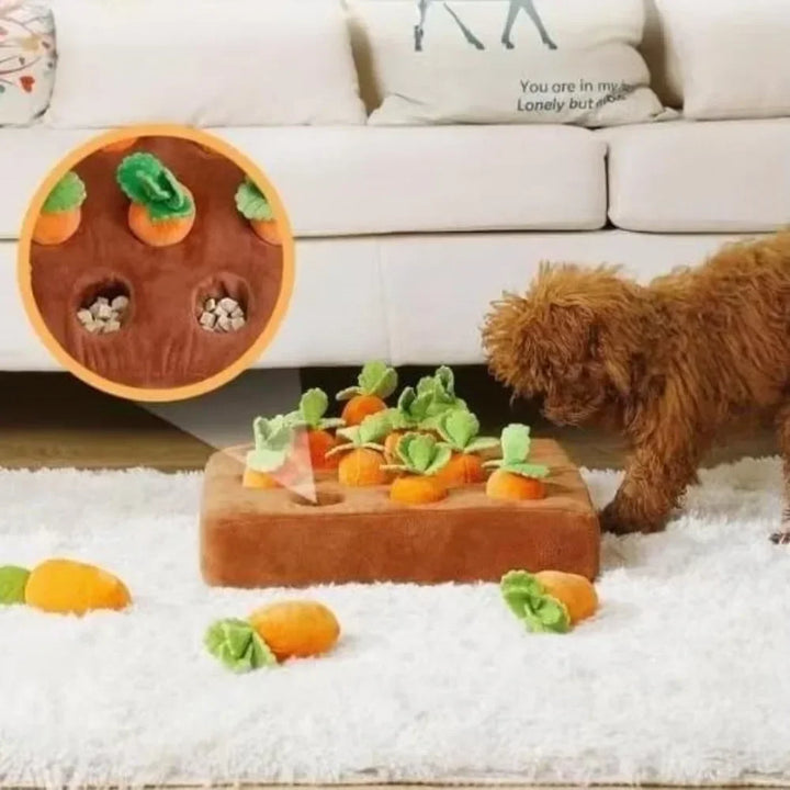 Perro feliz olfateando alfombra interactiva de zanahorias, juguete antiestrés para estimulación mental de mascotas.