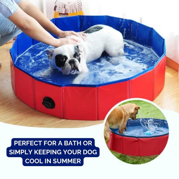 Solución refrescante de verano para mascotas. Piscina portátil de jardín que alivia el calor y ofrece diversión para perros.