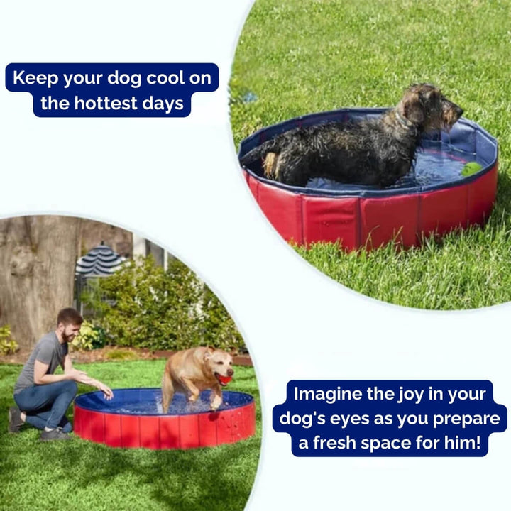Disfruta el verano con esta piscina portátil para perros. Fácil de montar y guardar, diversión refrescante garantizada.