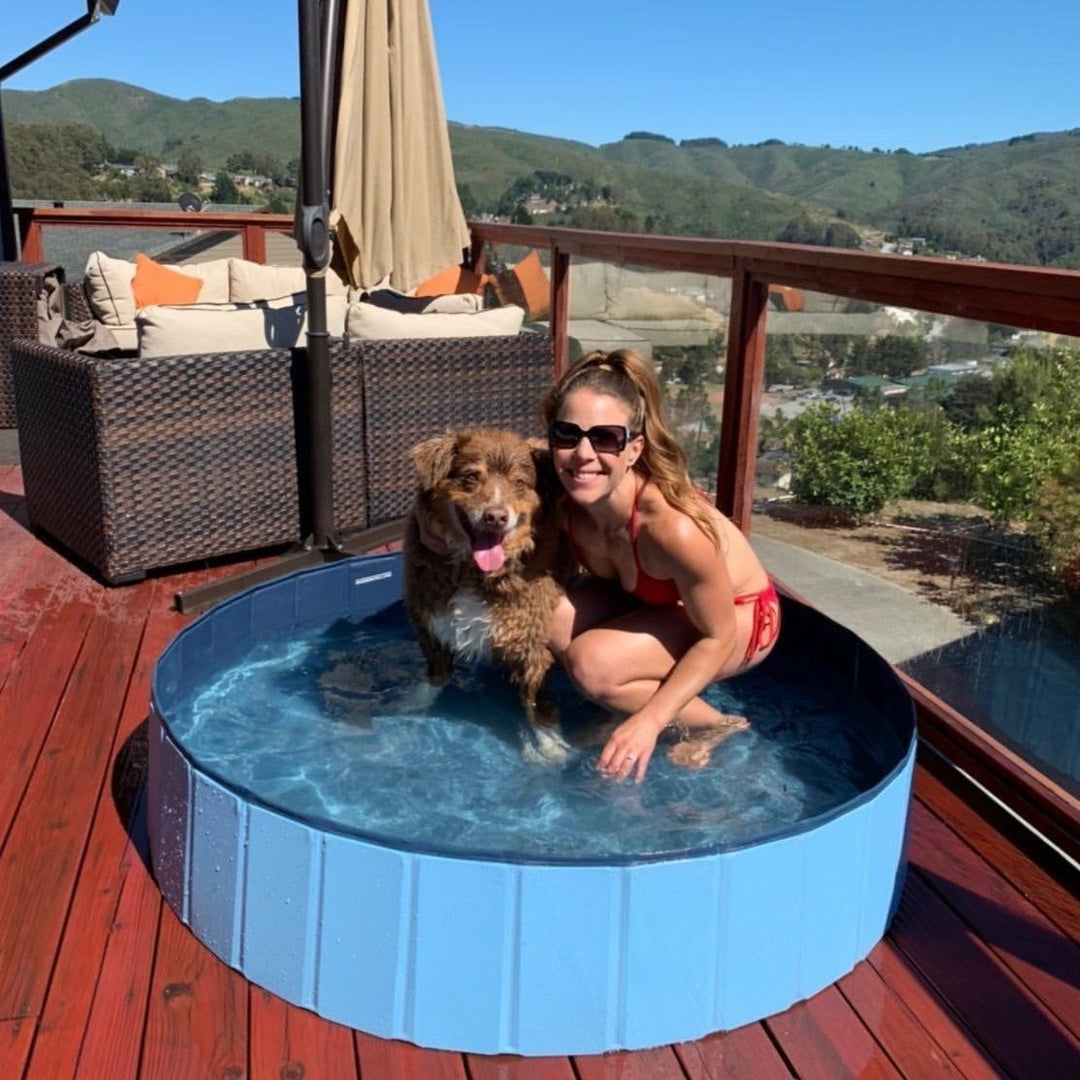 Dos perros felices jugando y refrescándose en la piscina plegable de verano en el exterior del jardín.