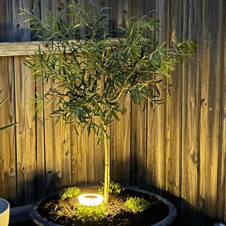 Lámpara solar LED para jardín con alta eficiencia energética, iluminación autónoma y ecológica para exteriores.