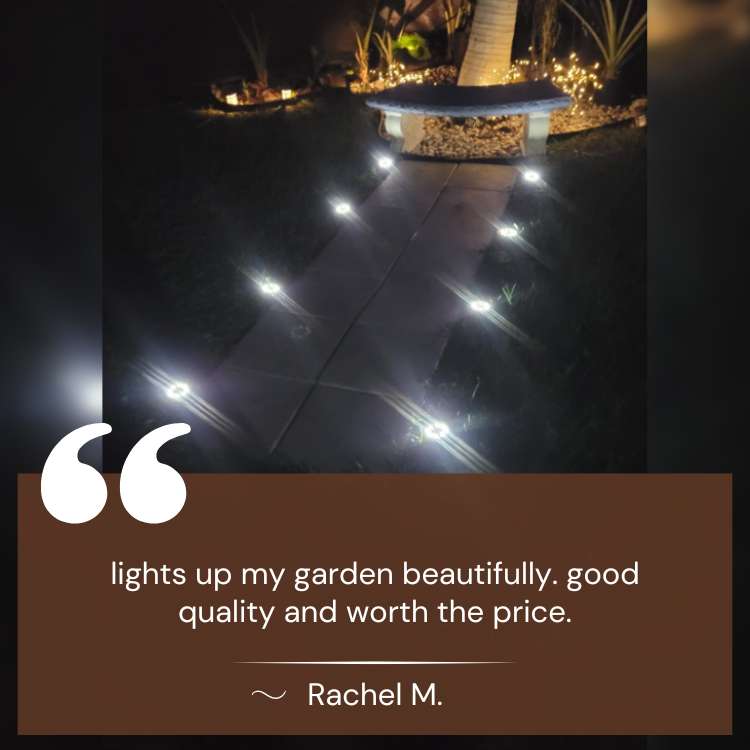 Elegantes luces LED solares de exterior que aportan decoración y calidez a tu jardín, patio o sendero al anochecer.