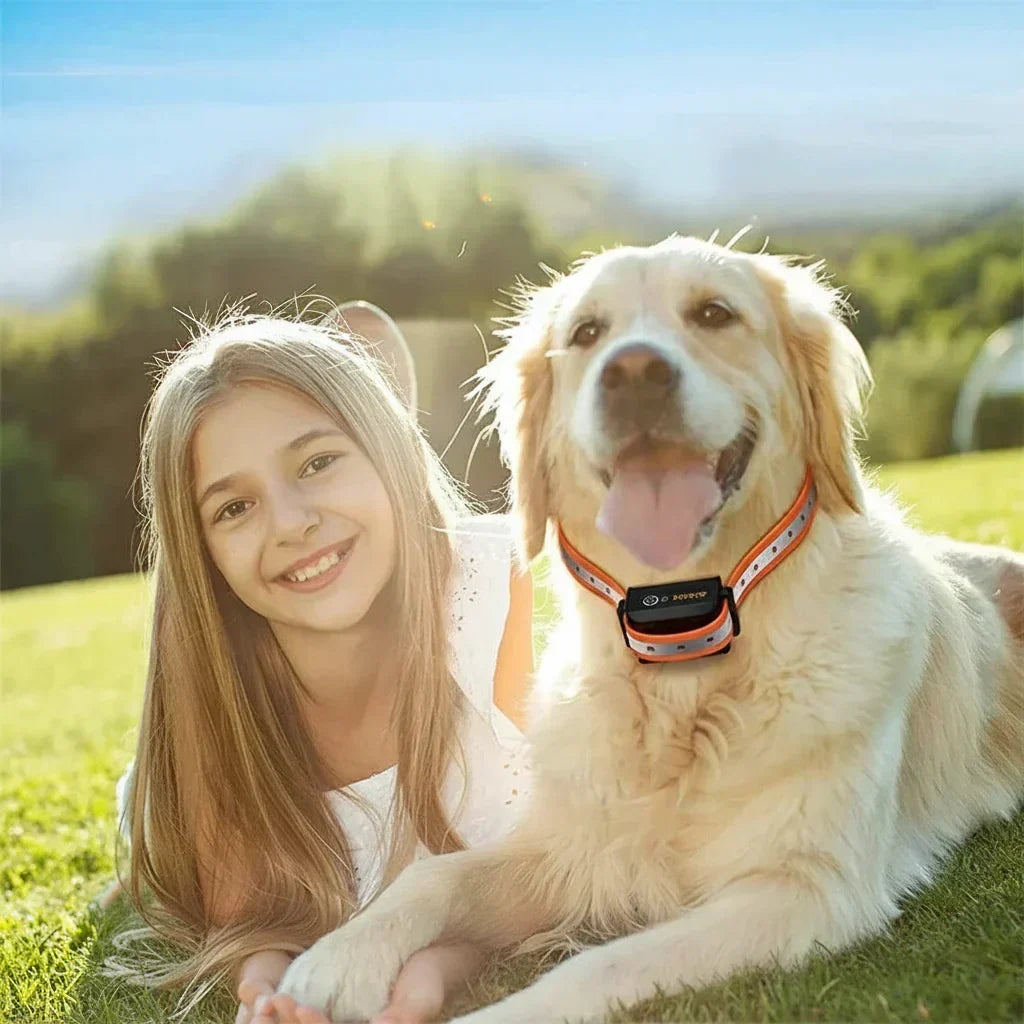 Entrenando perro en parque con collar de adiestramiento profesional para control y obediencia hasta 1000 metros.